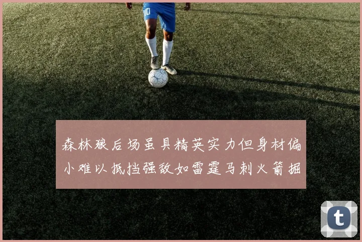 森林狼后场虽具精英实力但身材偏小难以抵挡强敌如雷霆马刺火箭掘金